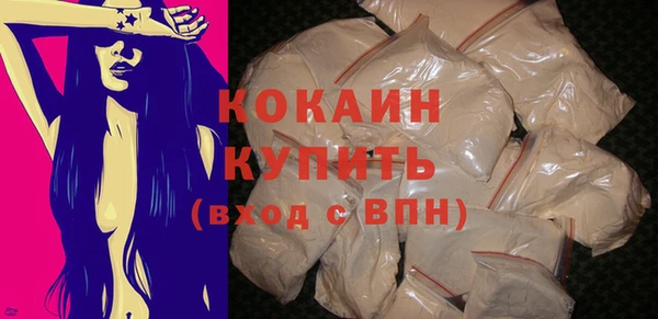 МДПВ Каменка