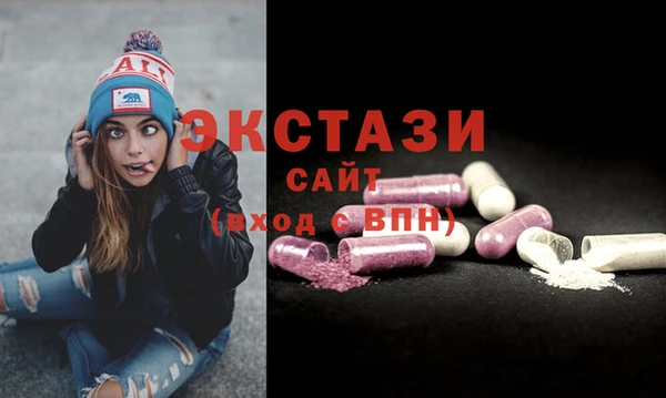 МДПВ Каменка