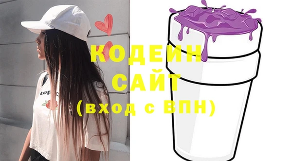 МДПВ Каменка