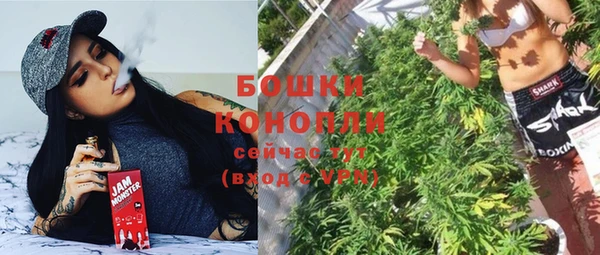 МДПВ Каменка