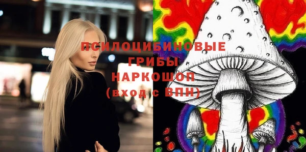 МДПВ Каменка