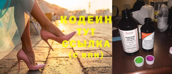 МДПВ Каменка