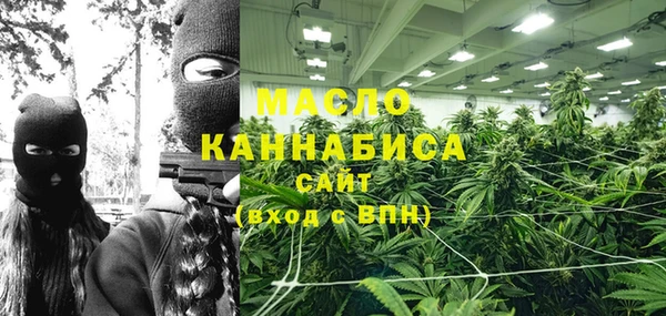МДПВ Каменка