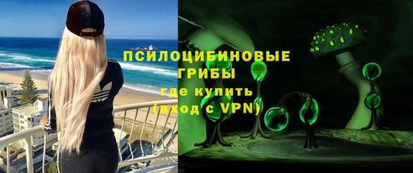 МДПВ Каменка